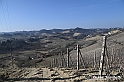VBS_1237 - Santo Stefano Roero